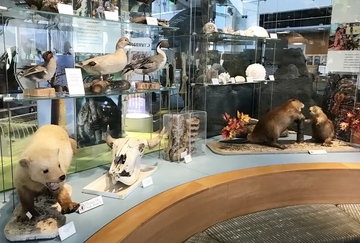 NC_MONS - Naturalist Center