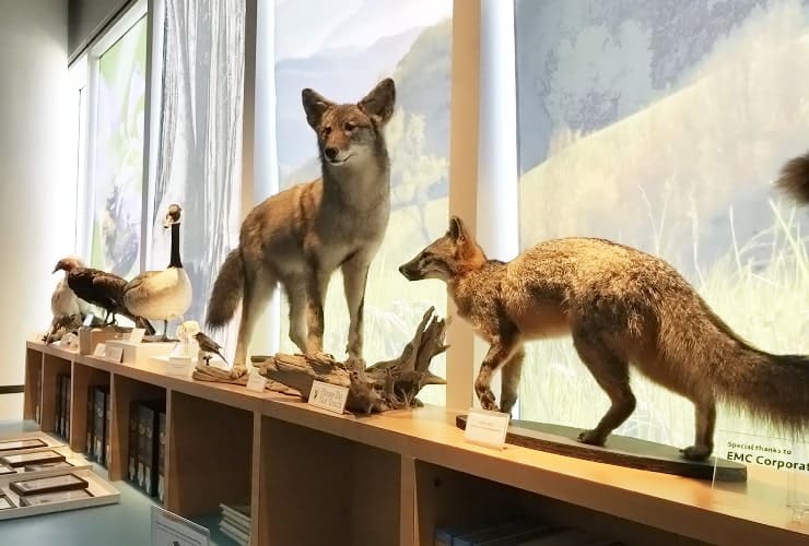 NC_MONS - Naturalist Center