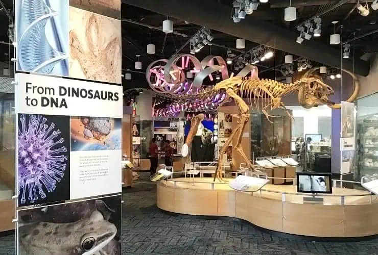 NC_MONS - Ancient Fossils, New Discoveries