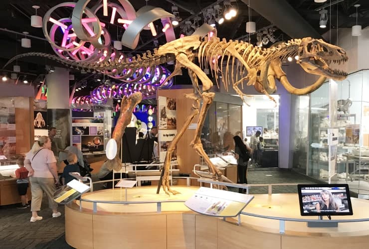 NC_MONS - Ancient Fossils, New Discoveries