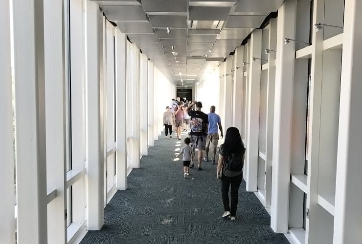 NC Museum of Natural Sciences - Skywalk