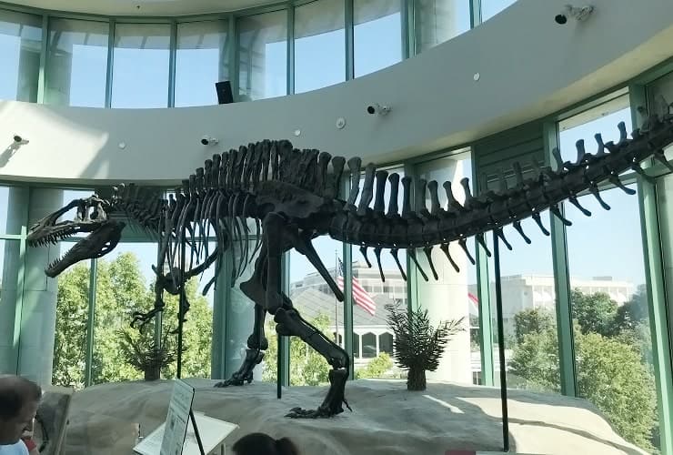 NC Museum of Natural Sciences - Terror of the South