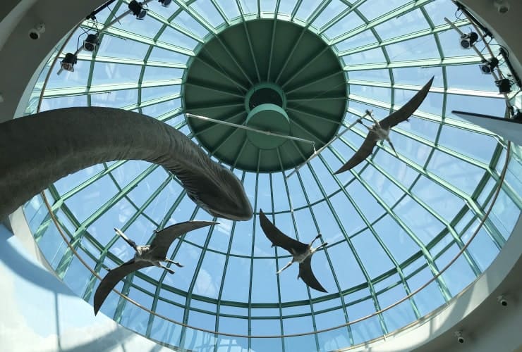 NC Museum of Natural Sciences - Terror of the South