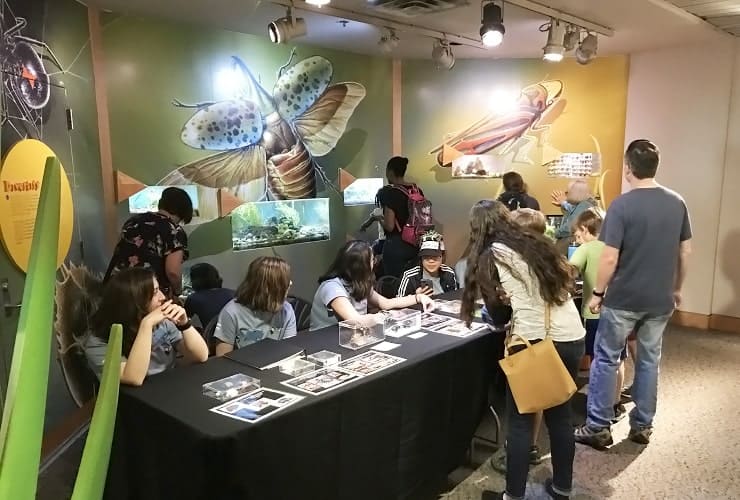 NC_MONS - Arthropod Zoo