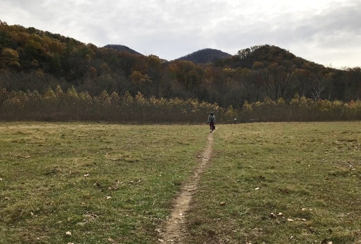 Tinker Cliffs - Open Field with View