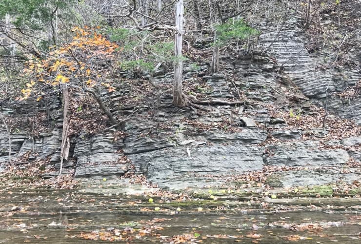 Tinker Cliffs - Catawba Creek Rock Face