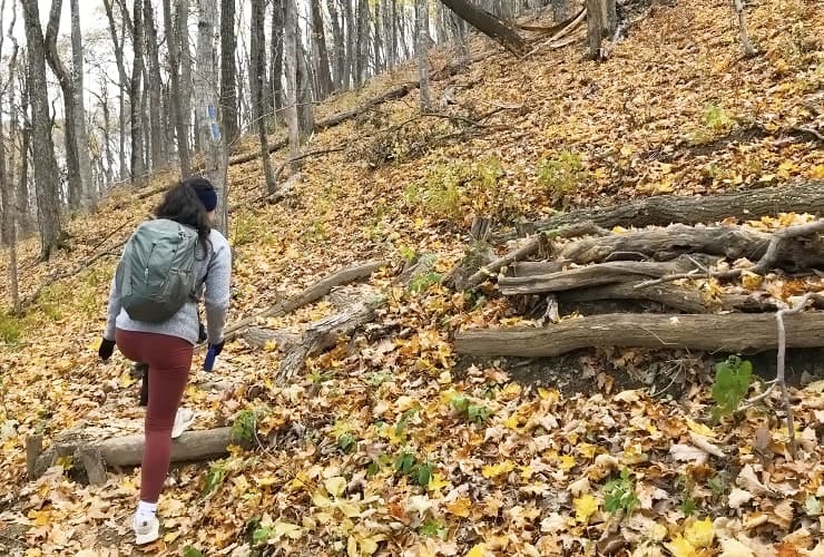 Tinker Cliffs - Steep Climb