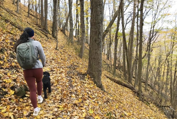 Tinker Cliffs - Hiking Above the Valley