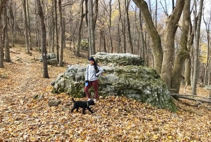 Tinker Cliffs - Scorched Earth Gap Resting Rock