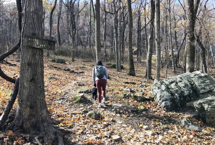 Tinker Cliffs - Scorched Earth Gap Initial Ascent