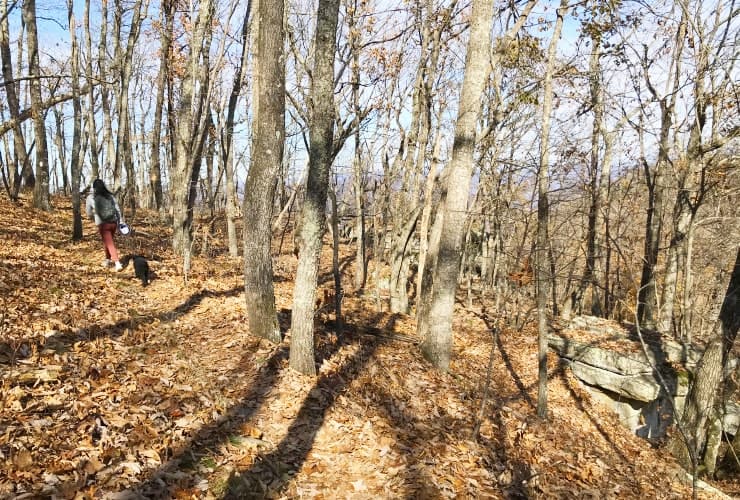 Tinker Cliffs - Overlook Views