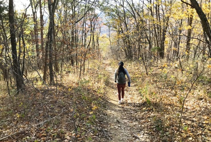 Tinker Cliffs - The Way Back Down Path