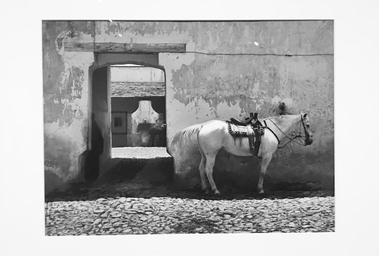 NCMA_Photography - Establo