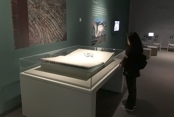 NCMA_Audubon - Books