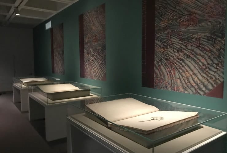 NCMA_Audubon - Books