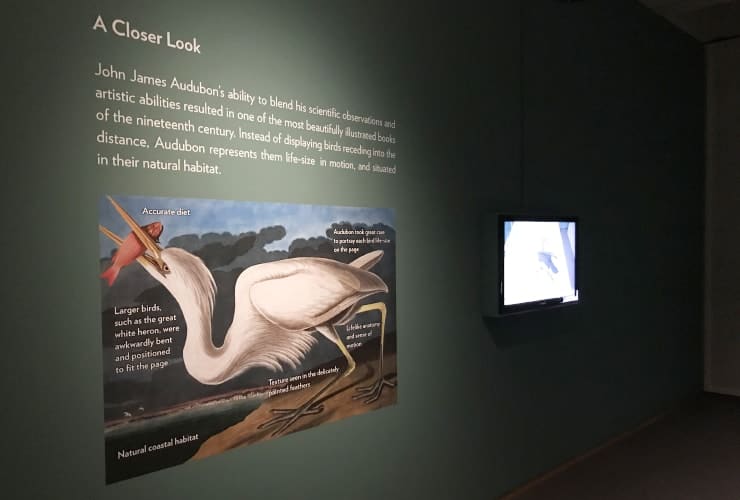 ncma_04_audubon_05-min