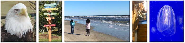 Crystal Coast North Carolina