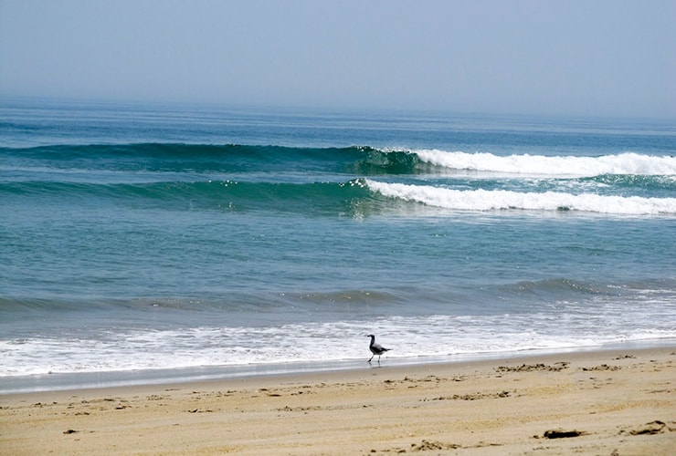 Outer Banks Beach