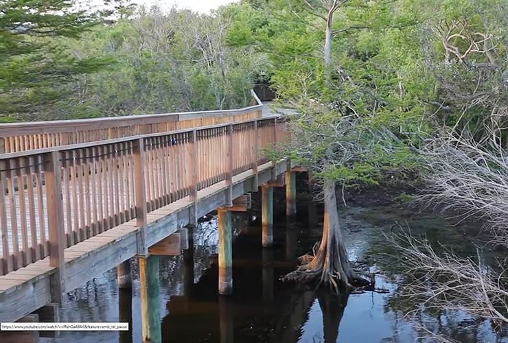 Upper Outer Banks - Duck Boardwalk