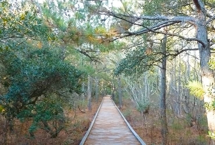 08_03_hiking_Currituck Banks Coastal Estuarine Reserve-min