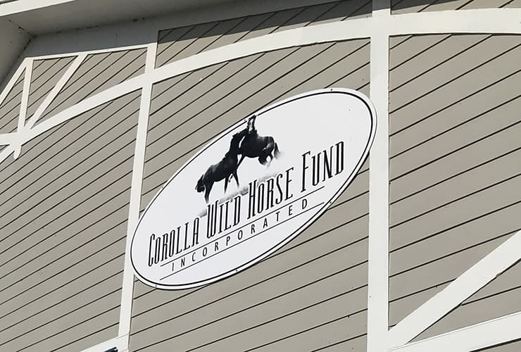 Corolla Wild Horse Fund