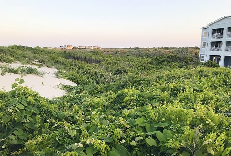 Hampton Inn & Suites Outer Banks/ Corolla Dunes