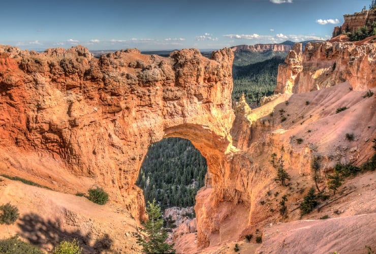 Natural Bridge + Ponderosa Forest