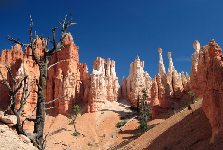 Hoodoos along the Peekaboo Trail