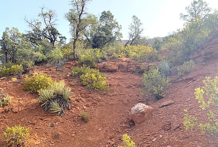 02a_01_lost_on_trails-min