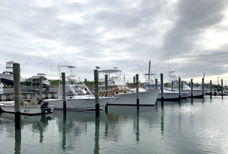 11_04 harbor-min
