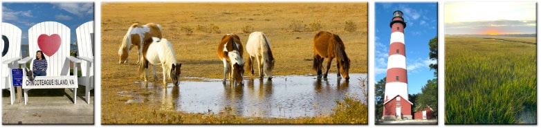 things to do in chincoteague