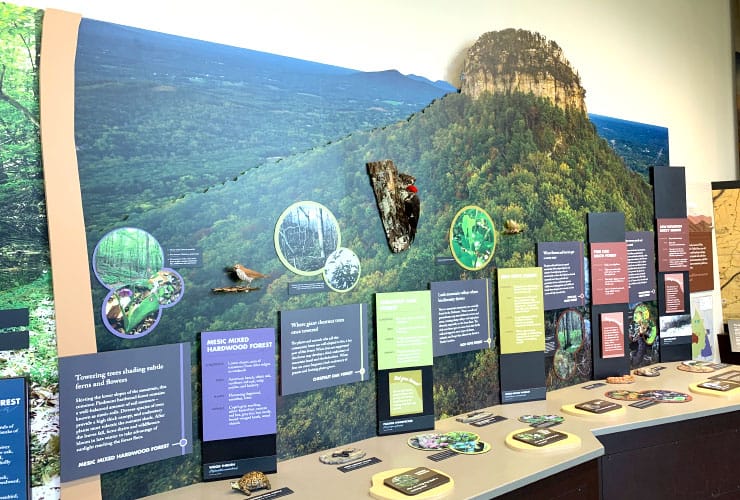 Educational exhibits inside Pilot Mountain State Park Visitor Center.
