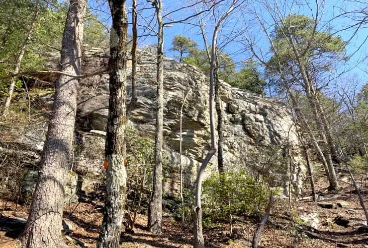Rock Face