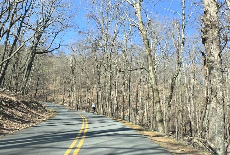 Cyclist navigating the curves of Pilot Knob Park Road.