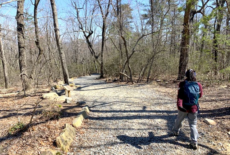 03_hidden_falls_05_trail