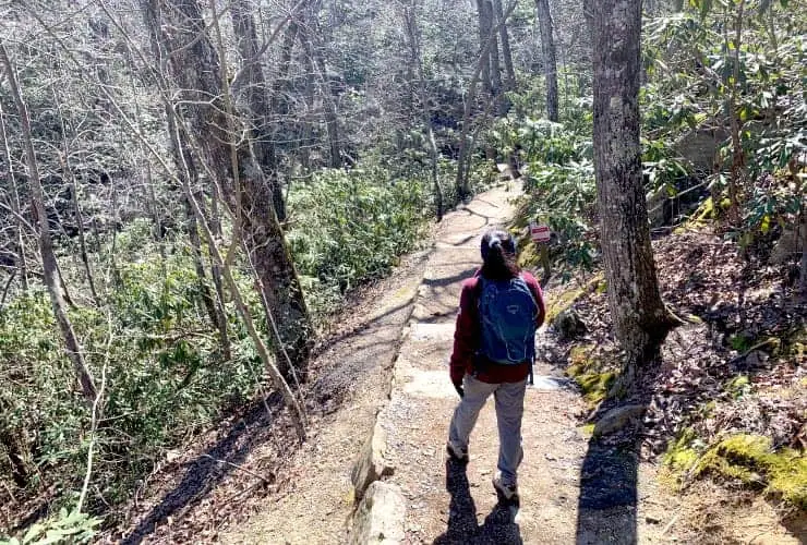 Path to Hidden Falls