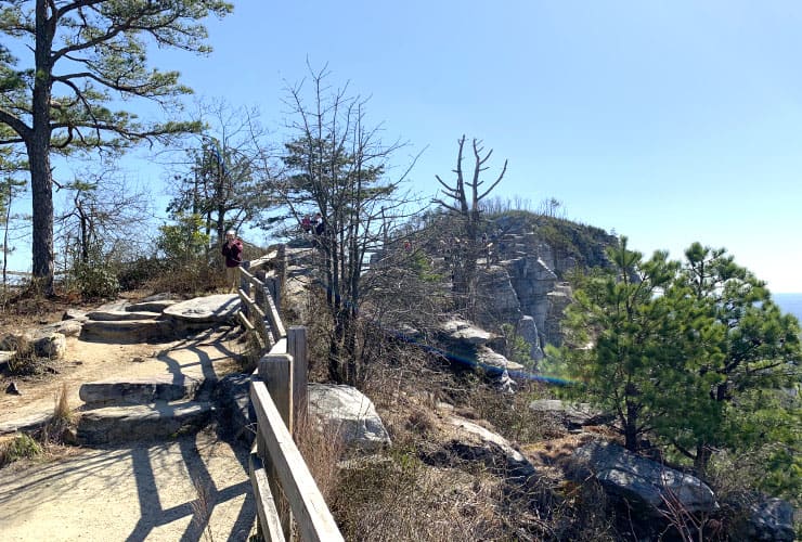 Hikers enjoying the view from Little Pinnacle Overlook.