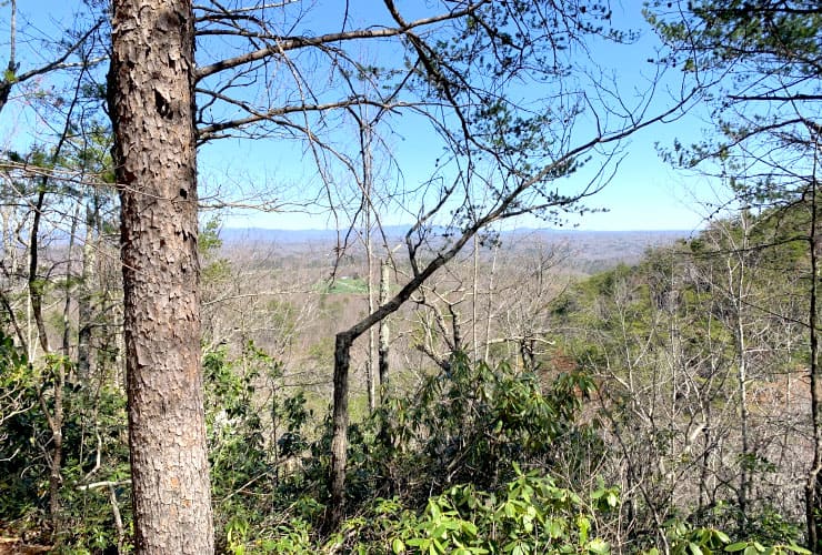 View of the Valley from Path