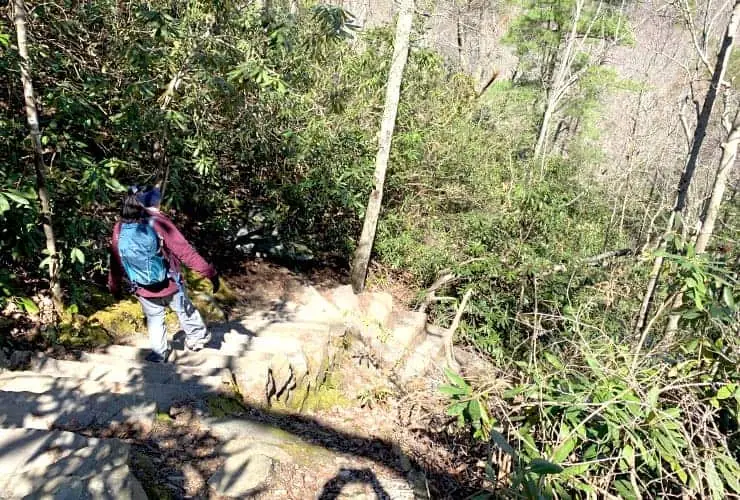 Path Down to Window Falls