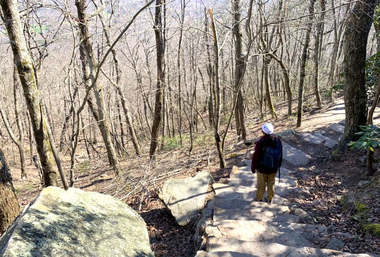 View of Valley from Jomeokee Trail