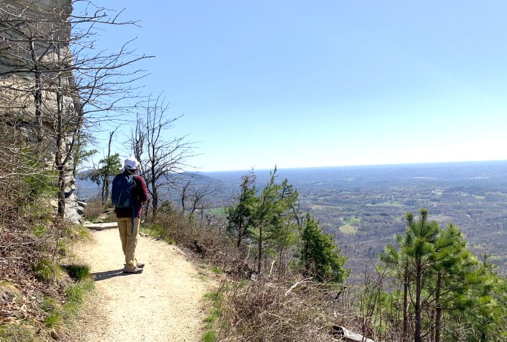 Pilot Mountain Valley Views