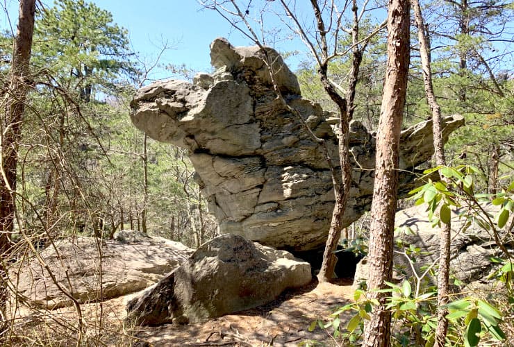 Hanging Rock State Park Rock Garden Dinosaur