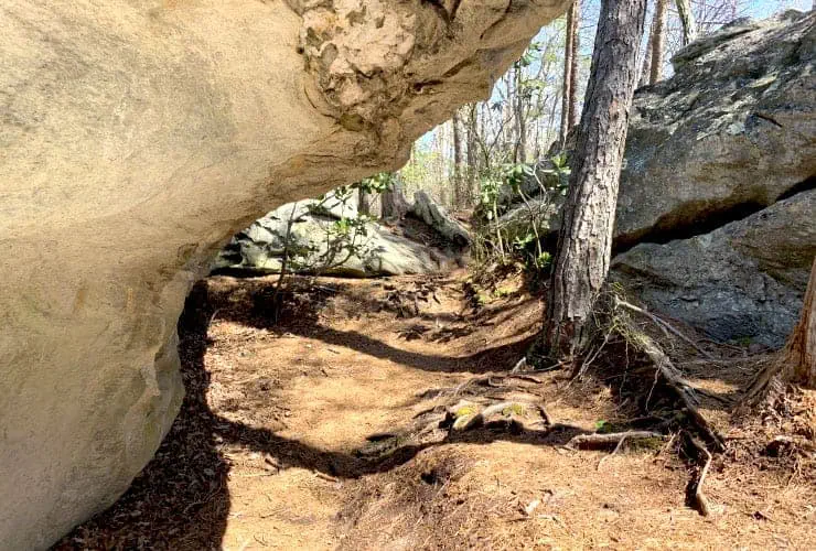 05_rock_garden_08_funnel