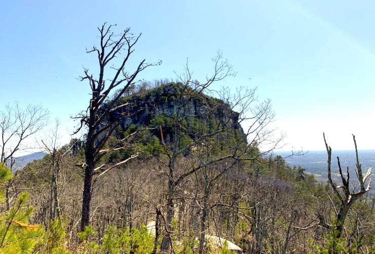 Big Pinnacle as seen from the Ledge Springs Trail