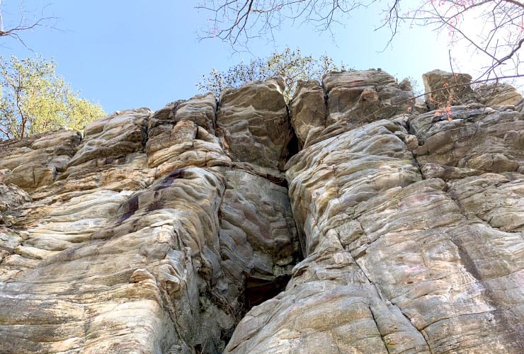Pilot Mountain Rock Fissures