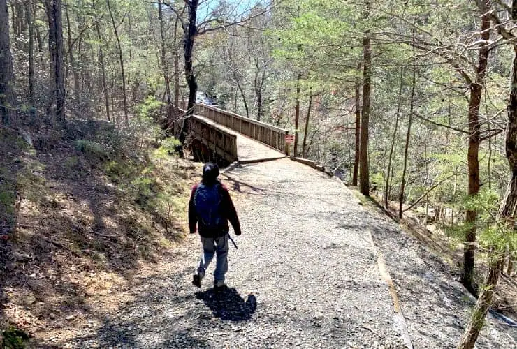 Wooden Bridge to Upper Cascades Falls
