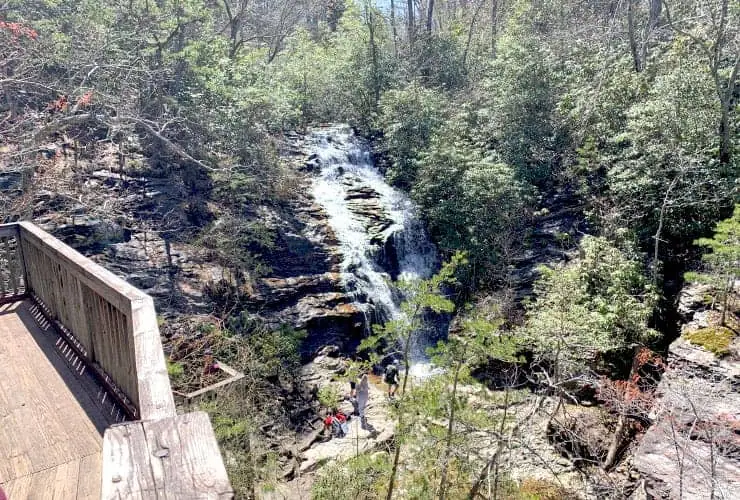 Upper Cascades Falls Viewpoint