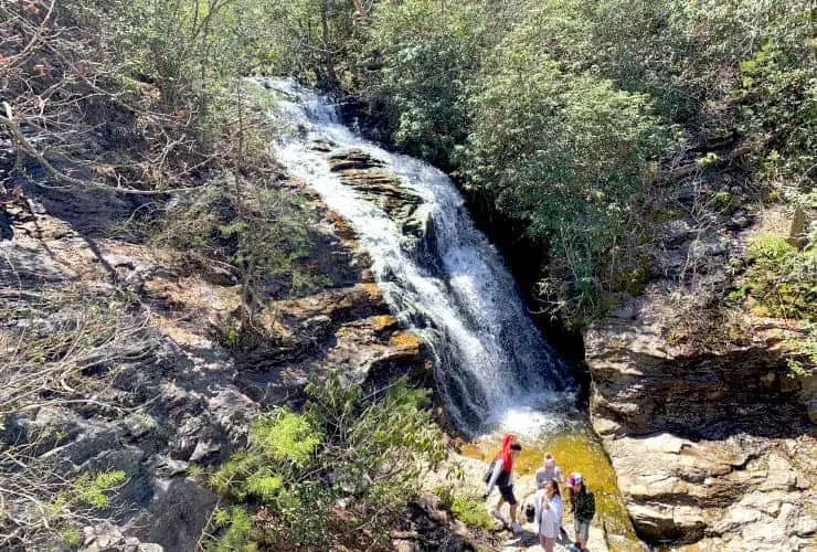 Falls High View
