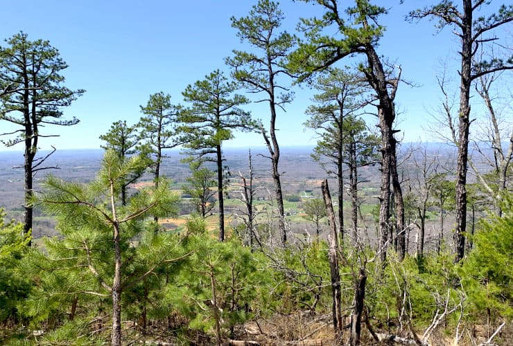 Yadking Valley View from the Grindstone Trail