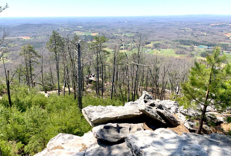 View of a View